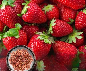 81pa1MDzhjL._AC_UF1000,1000_QL80_