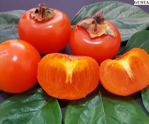 muda_de_caqui_rama_forte_sem_sementes_enxertadas_1052_2_6b7a02125f9a77b6930362fde2232c23