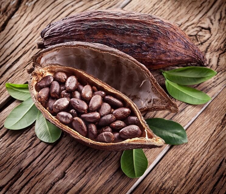 health-benefits-of-cacao_800x800