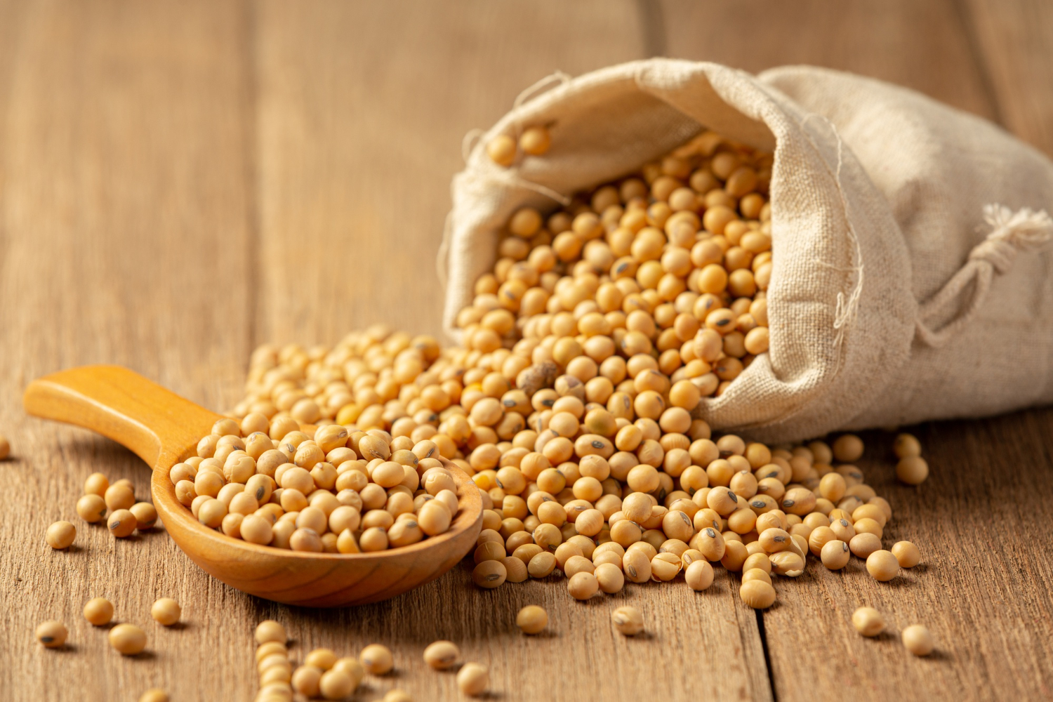 molho-de-soja-e-soja-no-assoalho-de-madeira-molho-de-soja-conceito-de-nutricao-alimentar